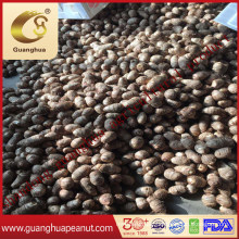 Best Quality Fresh Taro Good Price